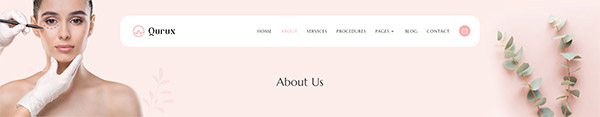 Header with Title Section