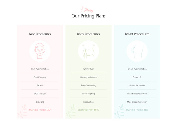 Pricing Section